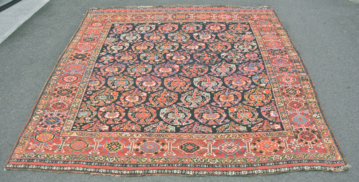 Qashqa'i Shekarlu Persian rug 220 x 183 cm web draft